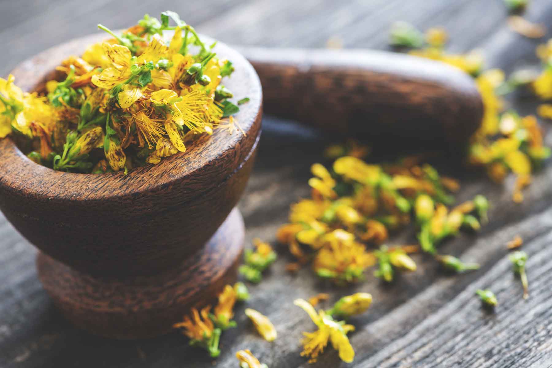 St. John’s Wort: Nature’s Way to Keep Viruses at Bay