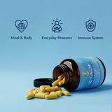 The Calm & Sleep Bundle